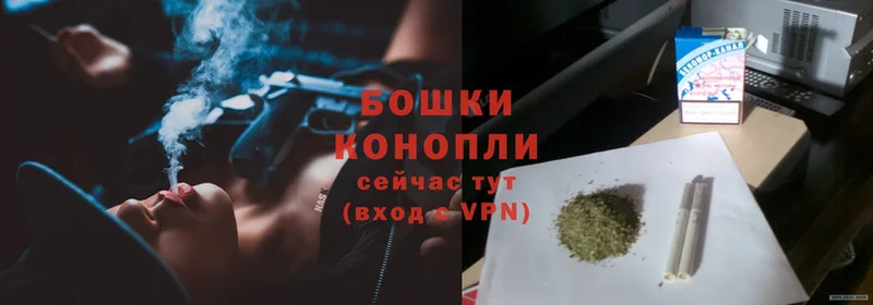 Бошки марихуана SATIVA & INDICA  как найти закладки  Навашино 